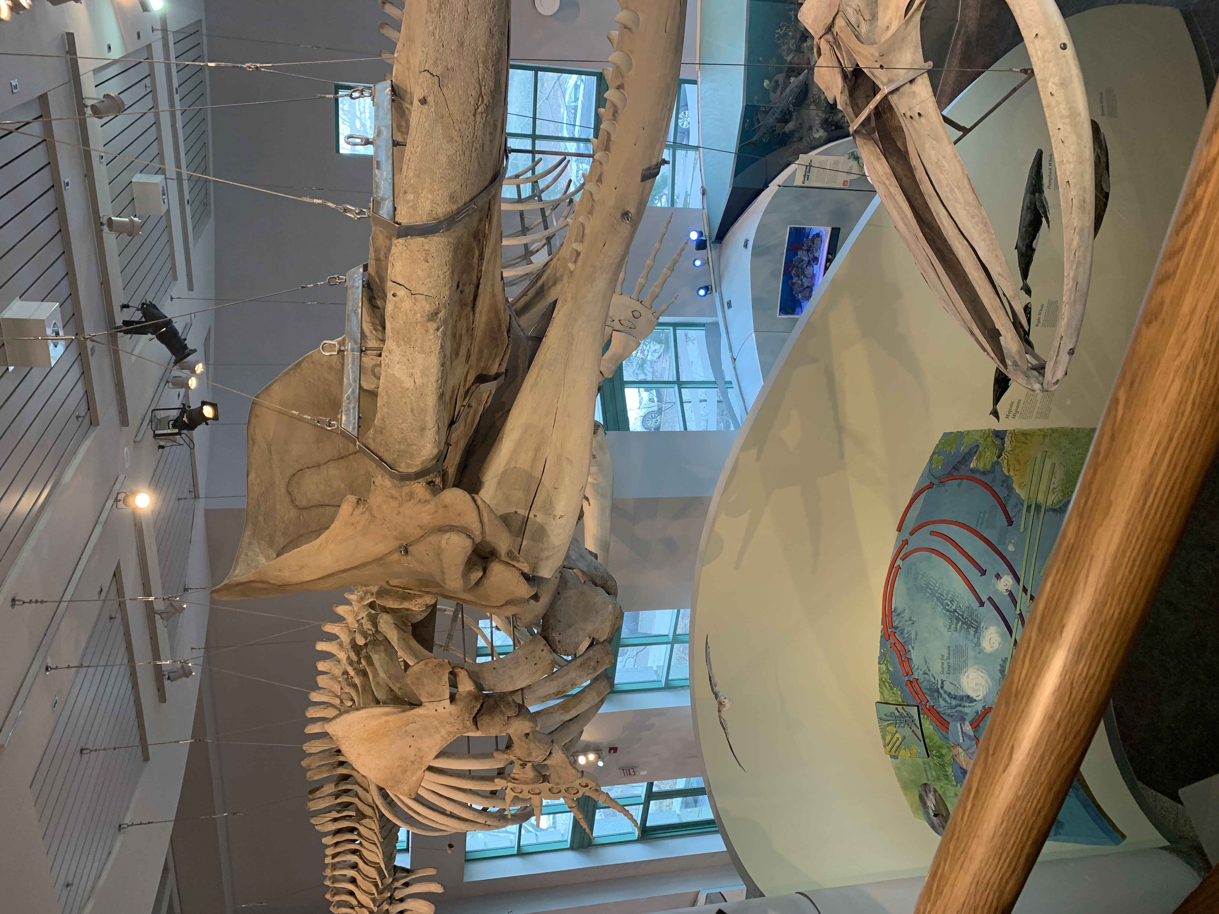 Museum and back to 